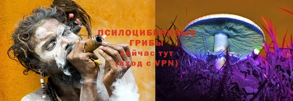 соль курить ск Наволоки